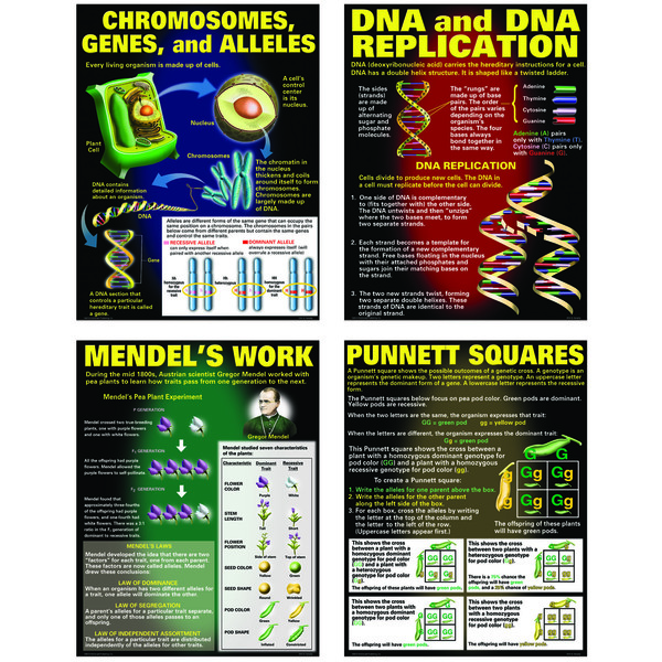 Mcdonald DNA And Heredity Poster Set TCRP128